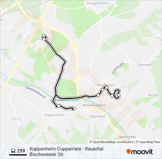Автобус 259: карта маршрута