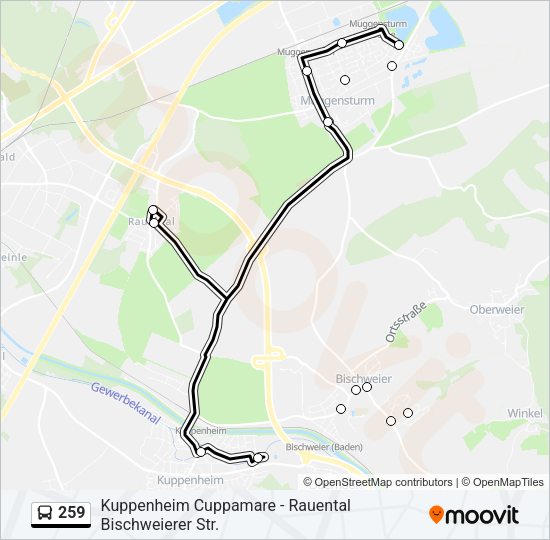Автобус 259: карта маршрута