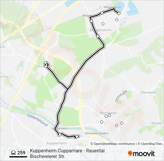 259 Bus Line Map
