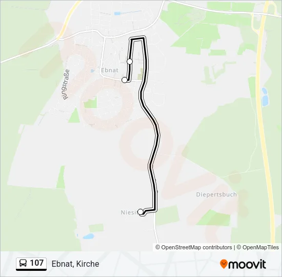 107 Bus Line Map