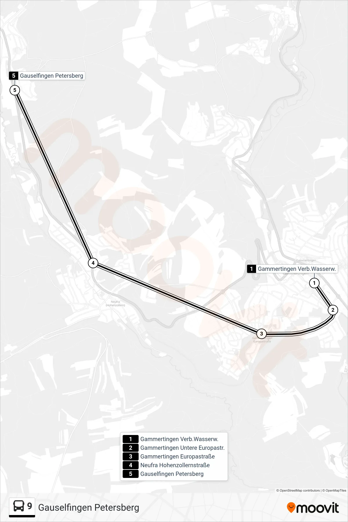 9 bus Line (Gauselfingen Petersberg) route and stops on a map