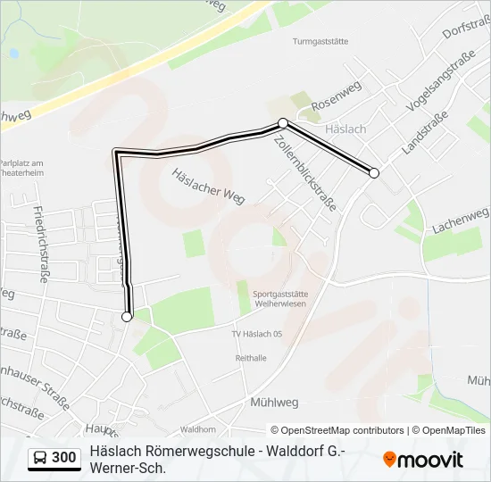 300 Bus Line Map