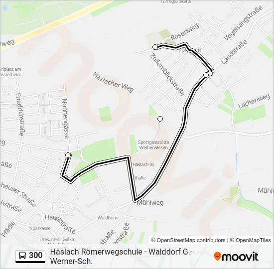 300 Bus Line Map