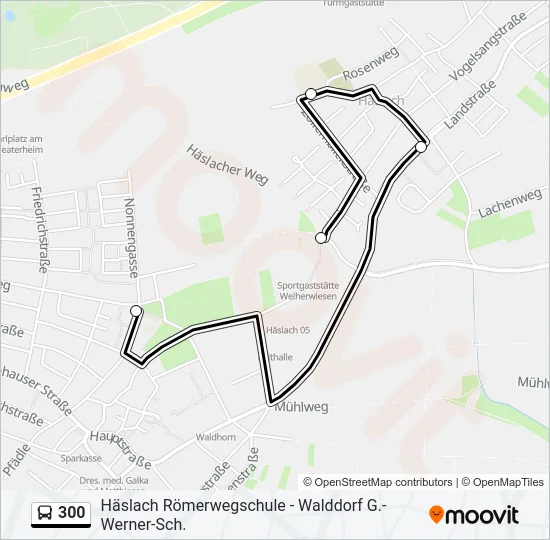 300 Bus Line Map