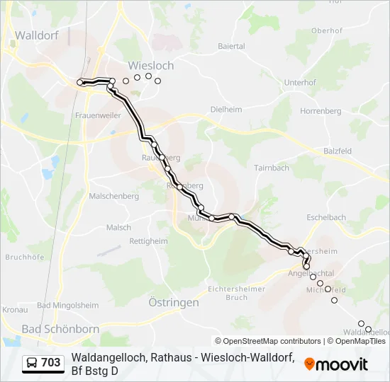 703 Bus Line Map