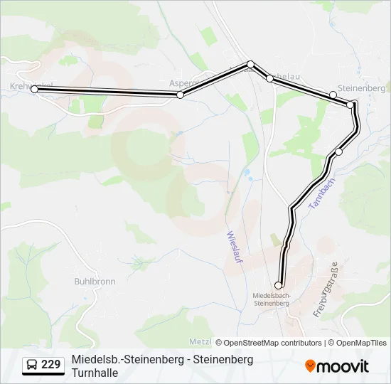 229 Bus Line Map