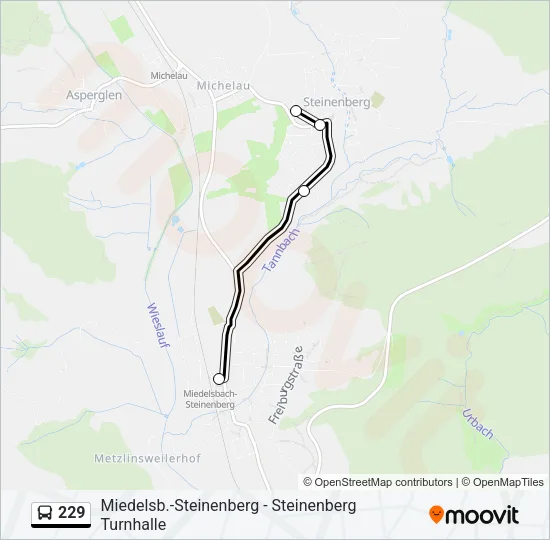 229 Bus Line Map