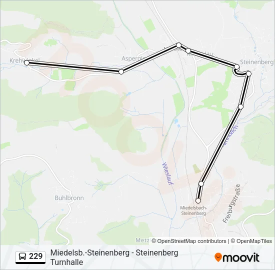 229 Bus Line Map