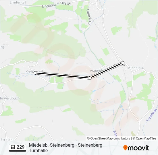 229 Bus Line Map