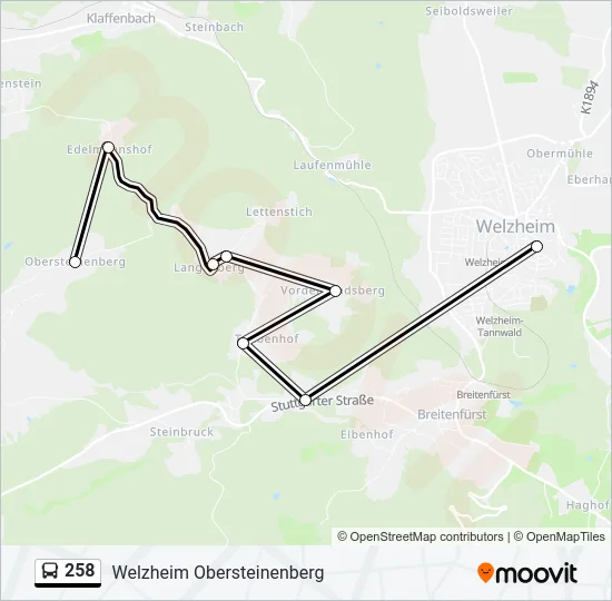 258 Bus Line Map