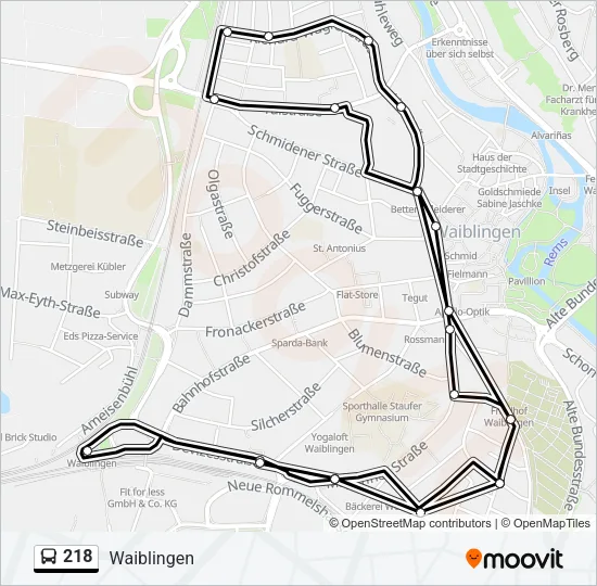 218 Bus Line Map