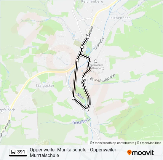 391 Bus Line Map