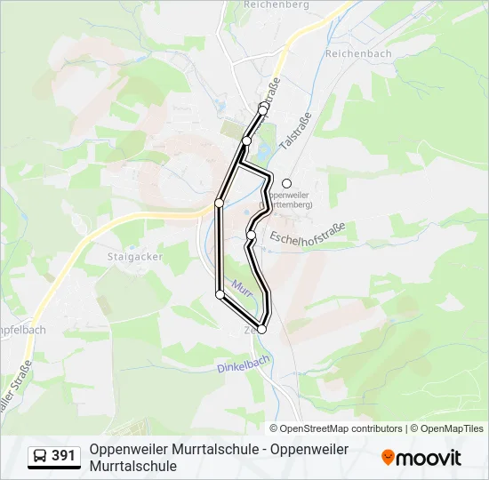 391 Bus Line Map
