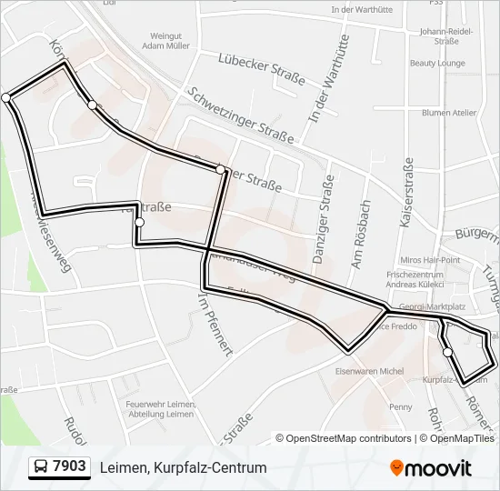7903 Bus Line Map