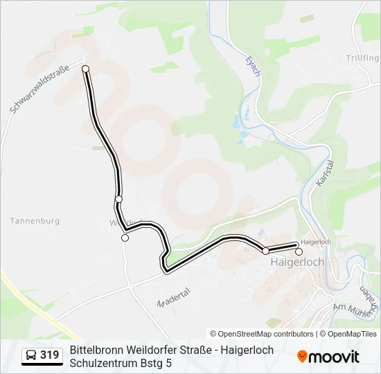 319 Bus Line Map