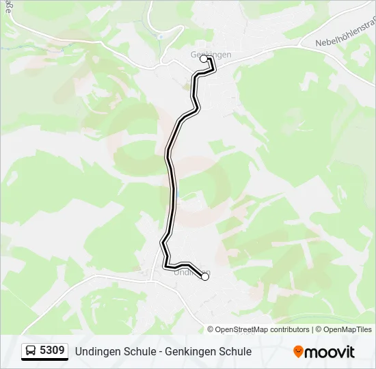 5309 Bus Line Map