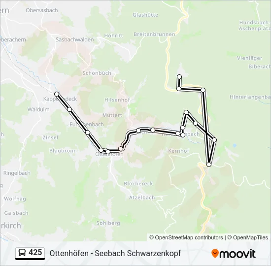 425 Bus Line Map