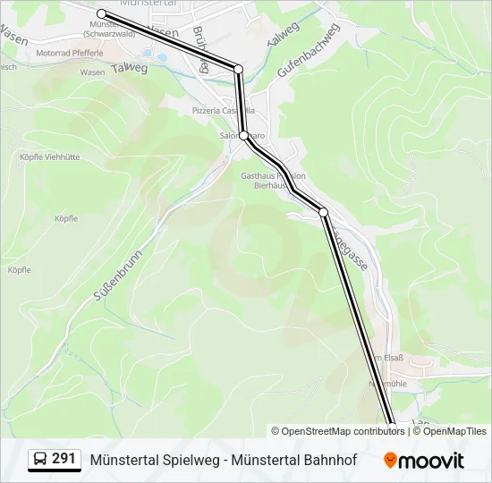 291 Bus Line Map