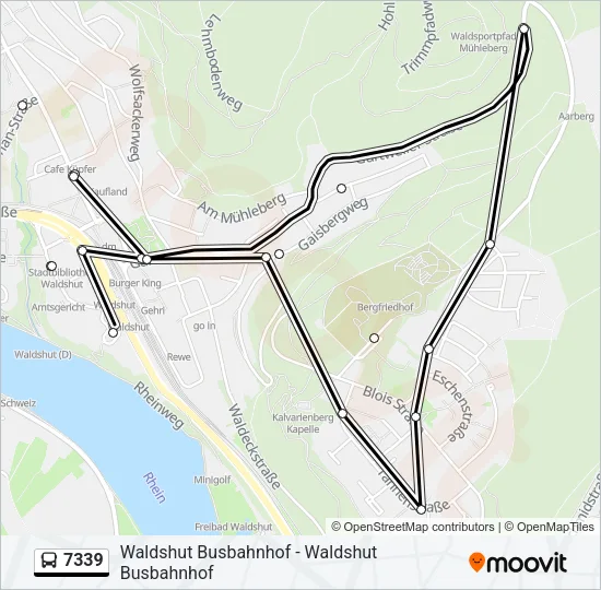 7339 Bus Line Map