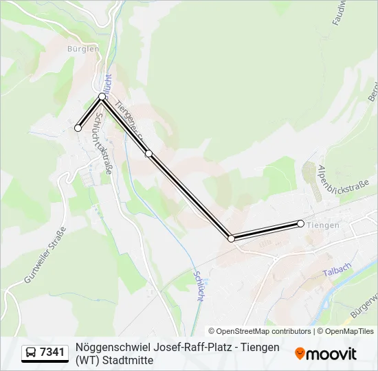 7341 Bus Line Map