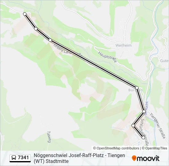 7341 Bus Line Map