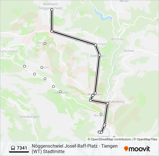 7341 Bus Line Map