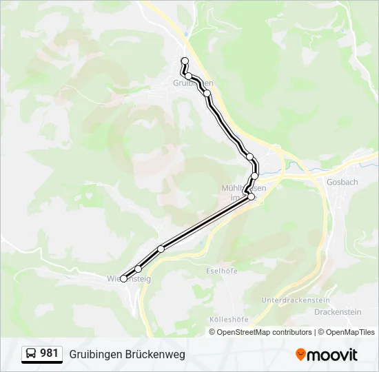 981 Bus Line Map