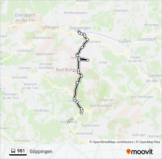 981 Bus Line Map