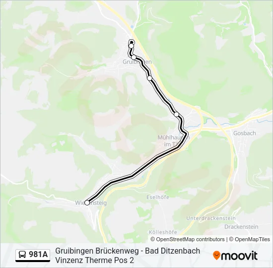 981A Bus Line Map