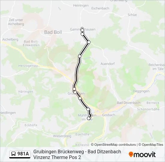 Автобус 981A: карта маршрута