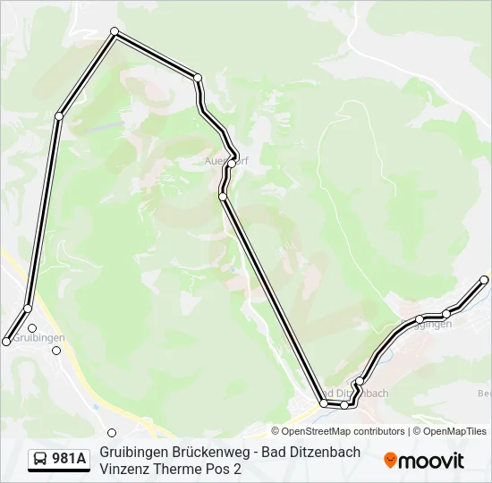 Buslinie 981A Karte