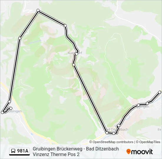 981A Bus Line Map