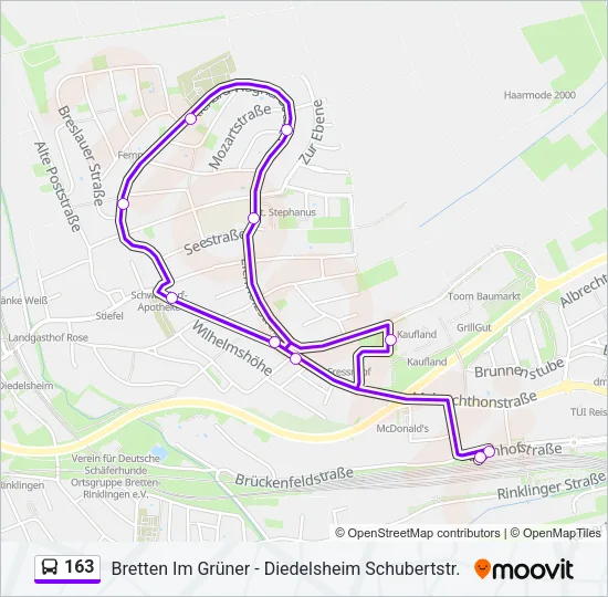 163 Bus Line Map