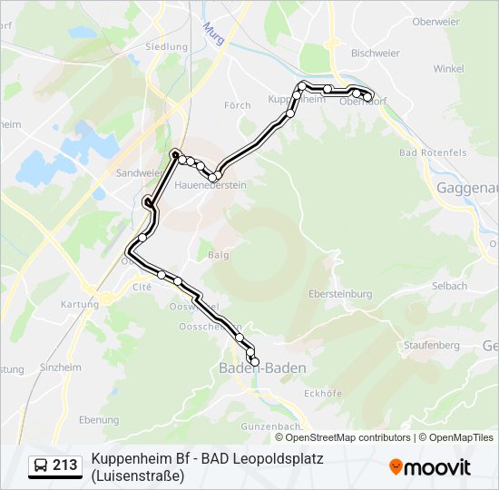 213 Bus Line Map