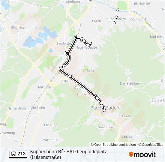 213 Bus Line Map