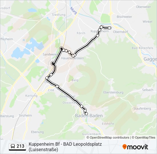 213 Bus Line Map
