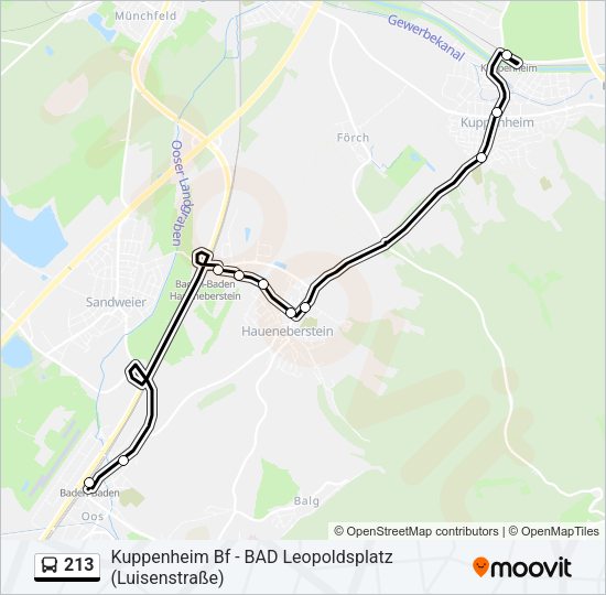 213 Bus Line Map