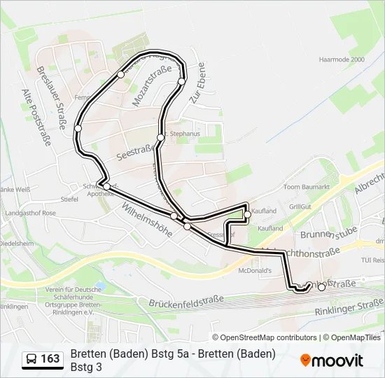 163 Bus Line Map