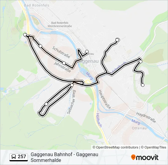 Автобус 257: карта маршрута