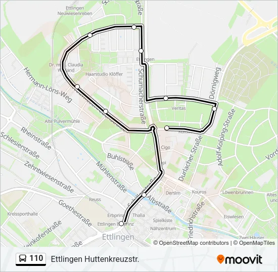 110 Bus Line Map