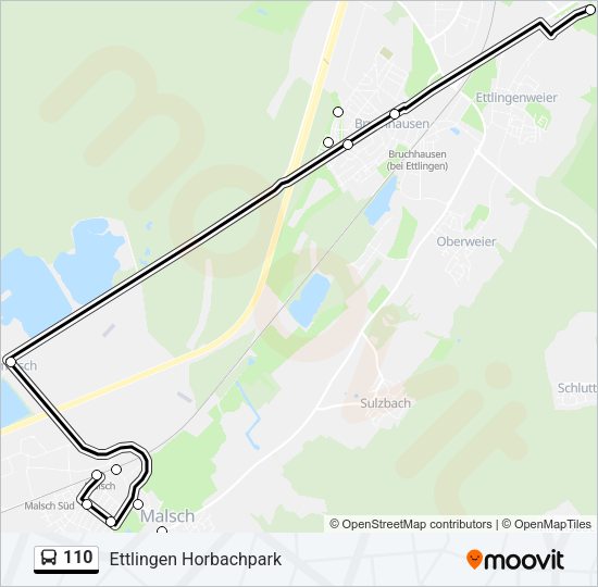 110 Route: Schedules, Stops & Maps - Ettlingen Horbachpark (Updated)