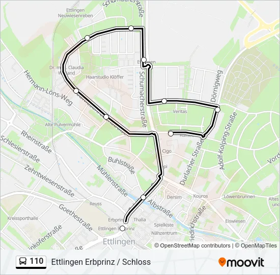 110 Bus Line Map