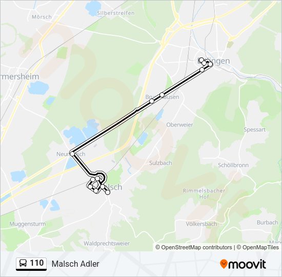 110 Route: Schedules, Stops & Maps - Malsch Adler (Updated)