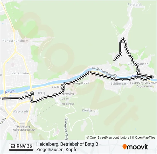 RNV 36 Bus Line Map