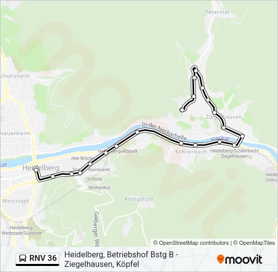 RNV 36 Bus Line Map