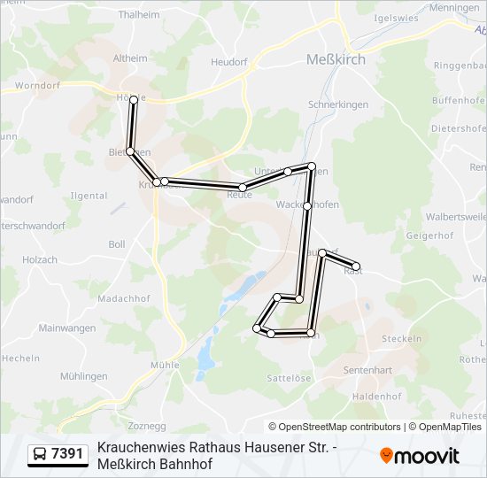 Автобус 7391: карта маршрута