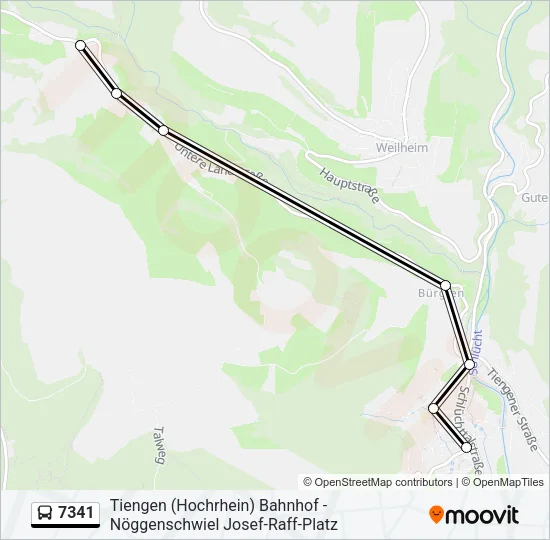 7341 Bus Line Map
