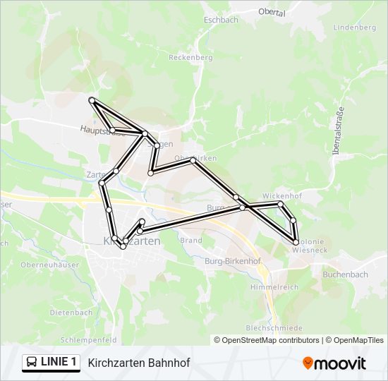 Автобус LINIE 1: карта маршрута