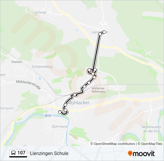 107 Route: Schedules, Stops & Maps - Lienzingen Schule (Updated)