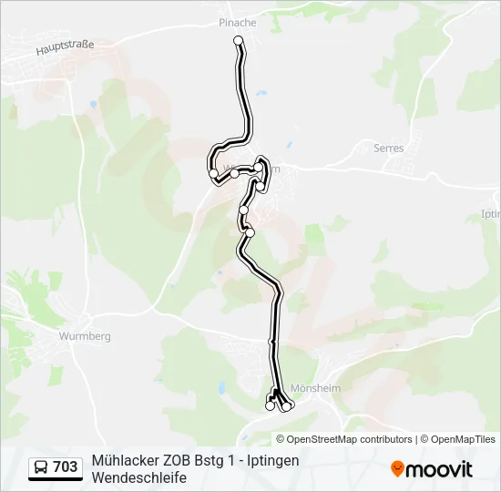 703 Bus Line Map
